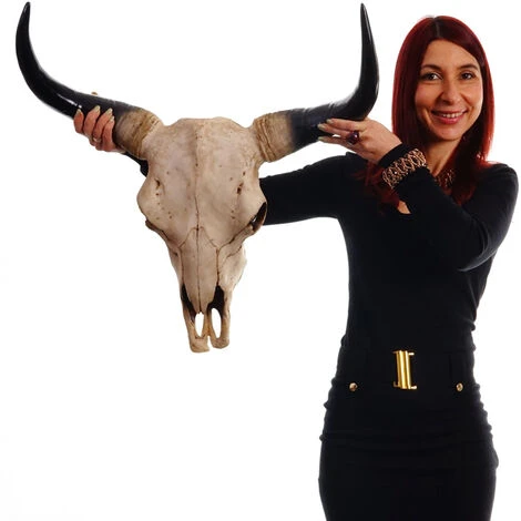 Nova Decorazione Da Parete Trofeo Teschio Di Toro 21x64x64cm Dettagliato 4 Nova Decorazione Da Parete Trofeo Teschio Di Toro 21x64x64cm Dettagliato - immagine 2