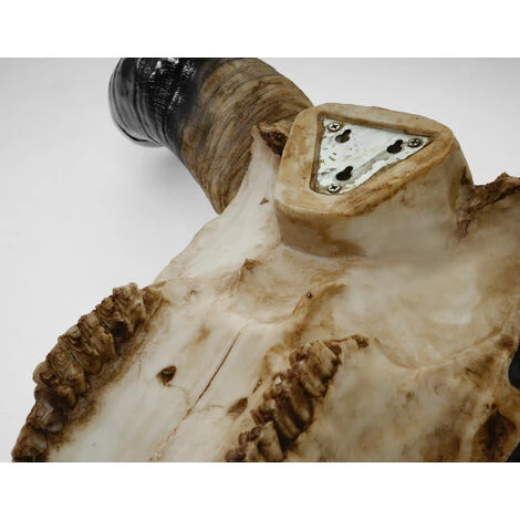 Nova Decorazione Da Parete Trofeo Teschio Di Toro 21x64x64cm Dettagliato 6 Nova Decorazione Da Parete Trofeo Teschio Di Toro 21x64x64cm Dettagliato - immagine 4