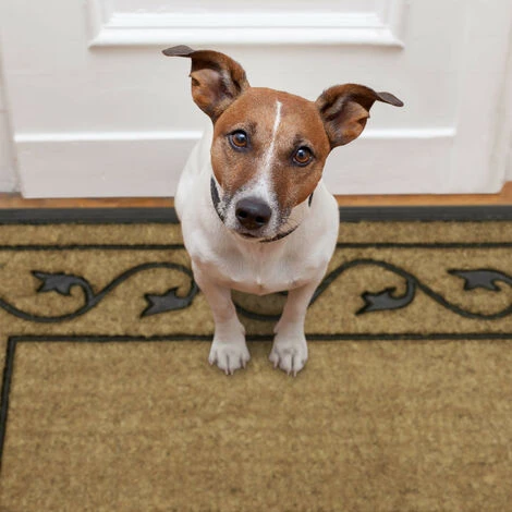 Relaxdays Zerbino Ingresso Casa, 90x60 Cm, Tappetino Rettangolare Classico, Fibra Di Cocco, Indoor & Outdoor, Naturale 7 Relaxdays Zerbino Ingresso Casa, 90x60 Cm, Tappetino Rettangolare Classico, Fibra Di Cocco, Indoor & Outdoor, Naturale - immagine 5