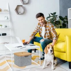 Relaxdays Cestino Portaoggetti Stoffa Scatola Portatutto Con Coperchio Da Scaffale Tessuto HxBxT: 25 X 33 X 33 Cm Grigio -Armonia Decor 10723066 3