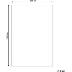 Tappeto Pelo Lungo 200 X 300 Cm Rosso Cide -Armonia Decor 15930023 3