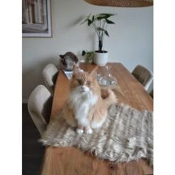 Pelle Sintetica Di Pecora Colore Beige Mungo -Armonia Decor 19766279 5