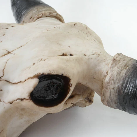 Decorazione Da Parete Trofeo HWC-A14 Poliresina Teschio Di Longhorn 6 Decorazione Da Parete Trofeo HWC-A14 Poliresina Teschio Di Longhorn - immagine 4