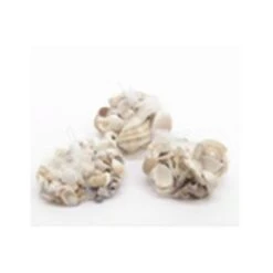 CONCHIGLIE ASSORTITE 400GR