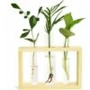 Provetta Per Fioriera Stazione Di Propagazione Delle Piante Provetta Per Terrario In Vetro Con Supporto In Legno Per La Propagazione Di Piante Idroponiche Decorazione Per Ufficio A Casa