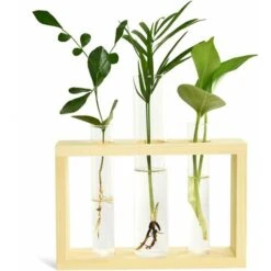 Provetta Per Fioriera Stazione Di Propagazione Delle Piante Provetta Per Terrario In Vetro Con Supporto In Legno Per La Propagazione Di Piante Idroponiche Decorazione Per Ufficio A Casa