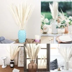 Erba Della Pampa, Erba Della Pampa Essiccata Naturalmente Deco Erba Della Pampa Phragmites Communis Bouquet Di Fiori Secchi Decorazione Per Soggiorno Fotografia Di Casa Hotel Matrimonio (Bianco) -Armonia Decor 36032827 4