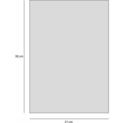 CURIOSITÀ - Poster Con Firma - Poster Da Parete - Formato Verticale - Carta Per Belle Arti Opaca Da 270 G - Design A Forma Di Aragosta - 21x30 Cm 9 CURIOSITÀ - Poster Con Firma - Poster Da Parete - Formato Verticale - Carta Per Belle Arti Opaca Da 270 G - Design A Forma Di Aragosta - 21x30 Cm -Armonia Decor 36860091 4