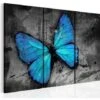Quadro - Studio Della Farfalla - Trittico - 120x80 -Armonia Decor 39154580 1