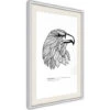 Poster - Eagle Of Freedom [Poster] - 40x60 -Armonia Decor 39456347 1