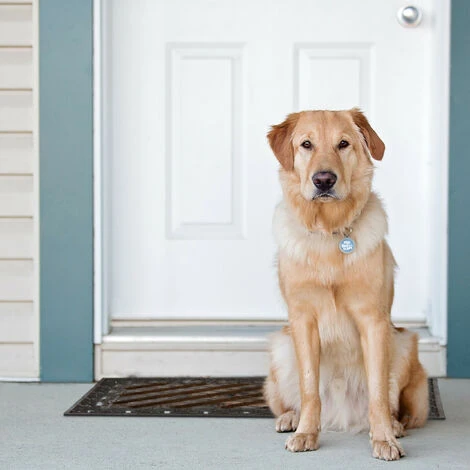 Relaxdays Zerbino Ingresso Casa, Tappetino Ovale, WELCOME, In Ghisa Resistente Alle Intemperie, Indoor & Outdoor, Bronzo 7 Relaxdays Zerbino Ingresso Casa, Tappetino Ovale, WELCOME, In Ghisa Resistente Alle Intemperie, Indoor & Outdoor, Bronzo - immagine 5