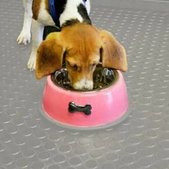 Pavimento Tappeto Gomma Pvc Bollato Al Metro Rivestimento Antiscivolo 100% Made In Italy - H100 -Armonia Decor 52504678 4