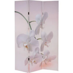 Nova Paravento Divisore A Doppia Immagine Con 3 Pannelli E Telaio In Metallo