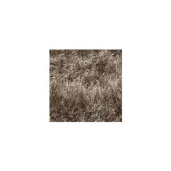 Paco Home Shaggy Pelo Alto Tappeto Moderno Fili Morbidi In Tinta Unita Crema Beige 60x100 Cm -Armonia Decor 64005709 3