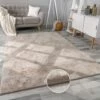 Paco Home Tappeto Salotto Moderno Pelliccia Morbido Pelo Lungo Shaggy Lavabile Div. Colori Beige, 60x90 Cm -Armonia Decor 70329114 1