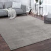 Paco Home Tappeto Salotto Pelo Corto Lavabile Monocolore Moderno Morbido Grigio 60x100 Cm