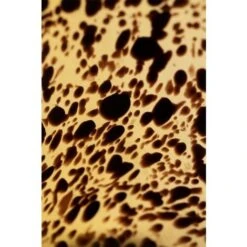 SKLUM Vaso In Vetro Jazz ↑14 Cm -Armonia Decor 71617273 4