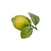DECORAZIONE LIME CON FOGLIE 10CM ACCESSORI DECORO CASA INTERNI -Armonia Decor 74498773 1