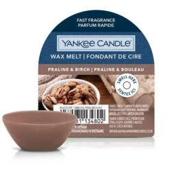 YANKEE CANDLE CERA DA FONDERE WAX MELT PRALINE & BIRCH