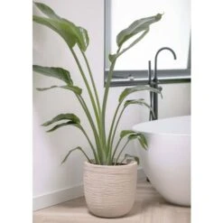 Fioriera Rotonda Waste Rib 43x41 Cm Beige Terrazzo Capi 10 Fioriera Rotonda Waste Rib 43x41 Cm Beige Terrazzo Capi -Armonia Decor 83284497 4