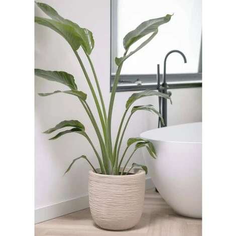 Fioriera Rotonda Waste Rib 43x41 Cm Beige Terrazzo Capi 6 Fioriera Rotonda Waste Rib 43x41 Cm Beige Terrazzo Capi - immagine 4