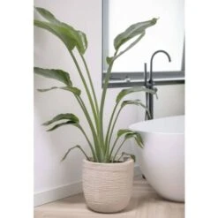 Fioriera Rotonda Waste Rib 35x34 Cm Beige Terrazzo Capi 10 Fioriera Rotonda Waste Rib 35x34 Cm Beige Terrazzo Capi -Armonia Decor 83284504 4