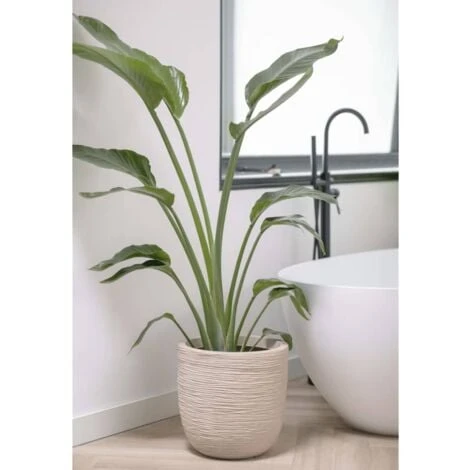 Fioriera Rotonda Waste Rib 35x34 Cm Beige Terrazzo Capi 6 Fioriera Rotonda Waste Rib 35x34 Cm Beige Terrazzo Capi - immagine 4