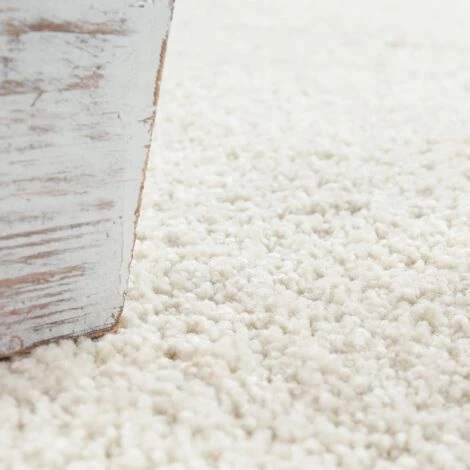 Paco Home Tappeto Soggiorno Rotondo Pelo Lungo Shaggy Camera Morbido Corridoio Monocolore Ø 80 Cm Tondo, Crema 5 Paco Home Tappeto Soggiorno Rotondo Pelo Lungo Shaggy Camera Morbido Corridoio Monocolore Ø 80 Cm Tondo, Crema - immagine 3