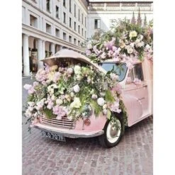 Kit Di Pittura Diamante 5D Fai Da Te Trapano Completo Strass Di Cristallo Colla Pittura Diamante Ricamo Pittura Casa Artigianato Decorazione Della Parete 30 40 Cm (Colore-C)