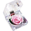 Vera Rosa Stabilizzata In Scatola Trasparente Rosa Eterna Profumata Per Sempre Fiore Di Rosa Presente Per Le Donne Regali Festa Della Mamma San Valentino Matrimonio Romantico Festa In Casa Feste Anniv -Armonia Decor 92491289 1